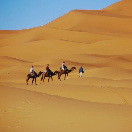 Marrakech desert tour