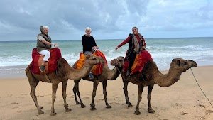 Tangier Excursions LLC place picture