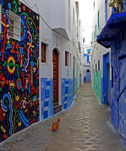 Cheap day trip to Asilah From Tangier