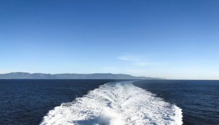 tarifa tarifa